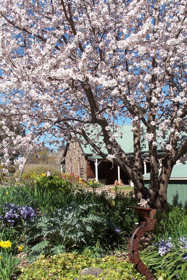 Inspiring Views B&B Wodonga Exterior foto